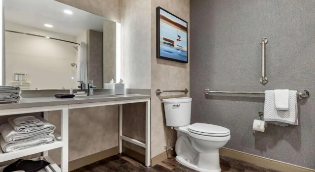 Номер Standard DoubleTree by Hilton Summerville Nexton
