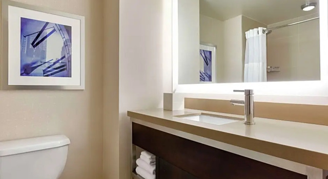 Двухместный гостевой номер Accessible Hilton New York Times Square