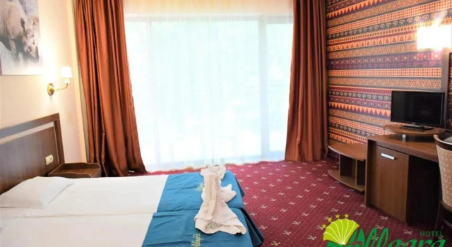 Одноместный номер Standard с видом на парк Allegra Balneo & SPA
