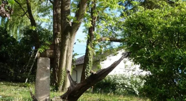 Gîte d'Maïsala Les Mésanges, Rezervasyon Otel Heidwiller Sundgau
