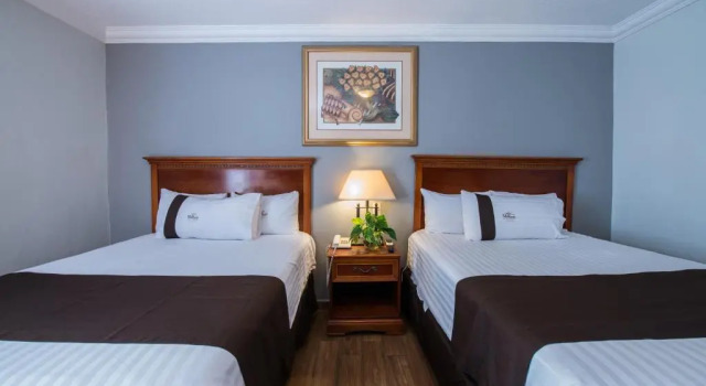 Четырёхместный номер Standard Del Marques Hotel and Suites