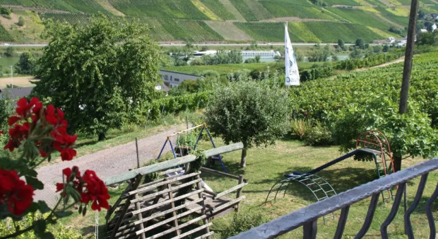 Двухместный номер Standard Weingut-Brennerei-Gästehaus Emil Dauns