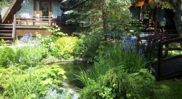Бунгало с красивым видом из окна Hotel Zakątek Leśny