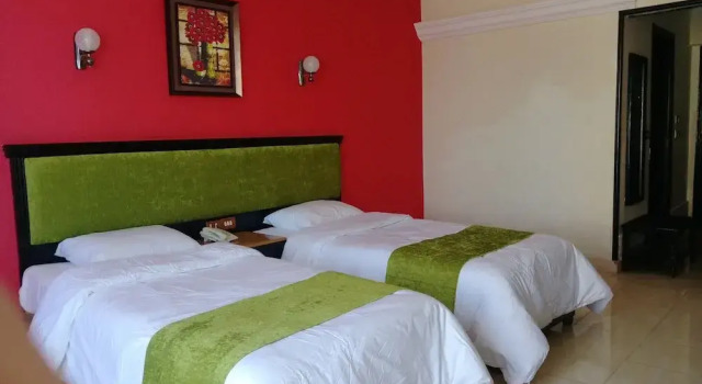 Двухместный номер Superior New Da Vinci Hotel