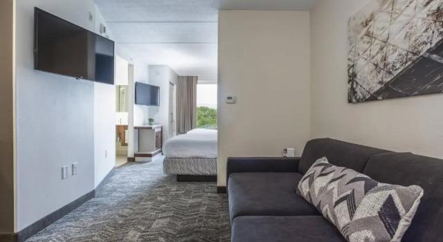 Двухместная студия SpringHill Suites by Marriott Austin The Domain Area