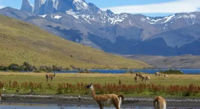 ZALTAXAR "Hijos del Canelo", Rezervovat Hotel Hotely v Los Lagos s parkováním, Parkování