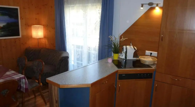 Апартаменты с 2 комнатами ALPINA Appartements Mallnitz