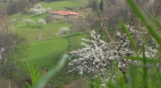 Gîte Le Mirador, Rezerwuj Apartament Courzieu Owernia