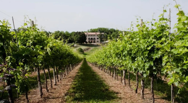 Апартаменты с видом на горы agriturismo villa marani