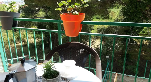 Apartments Pipunic