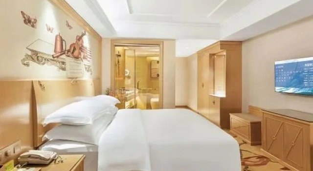 Двухместный люкс Business с видом на улицу Vienna Hotel (Guiyang Financial City International Eco Conference Center Metro Station Branch)