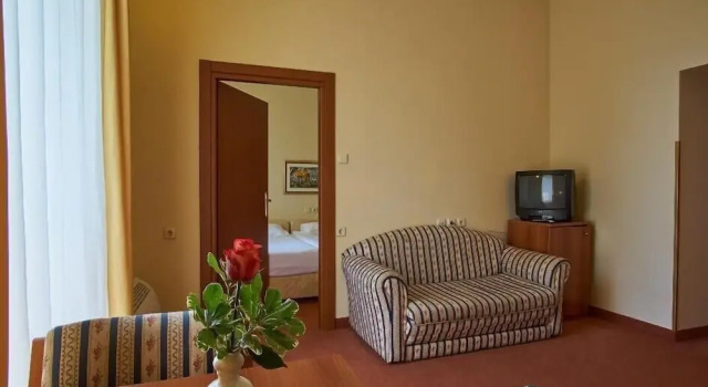 Люкс с балконом Hotel Vila Ružica- glavna zgrada i depandanse