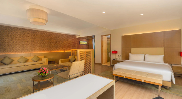 Полулюкс Radisson Blu Hotel, Greater Noida