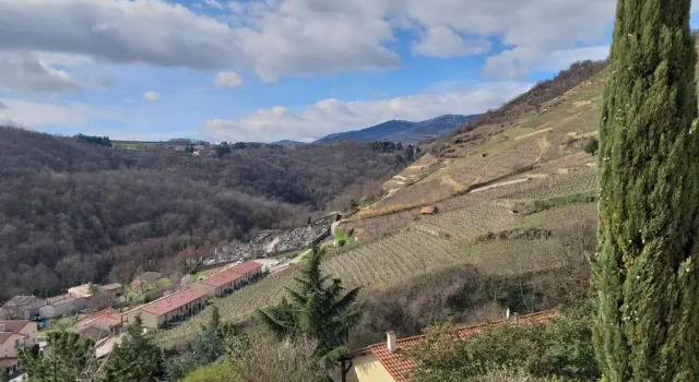 Номер Standard Wine Passion Panoramic