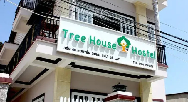 Tree House Hostel