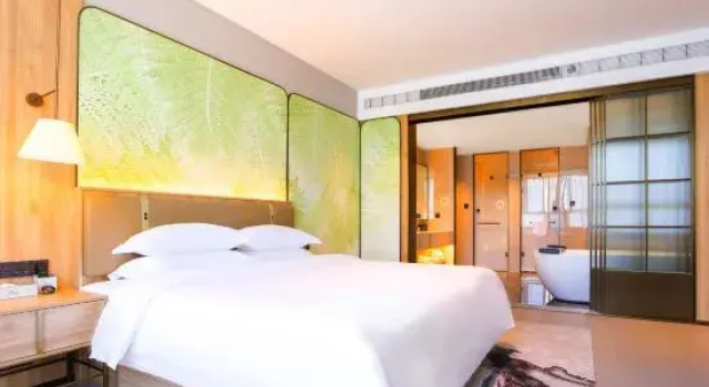 Двухместный люкс Radisson Hotel Cangnan