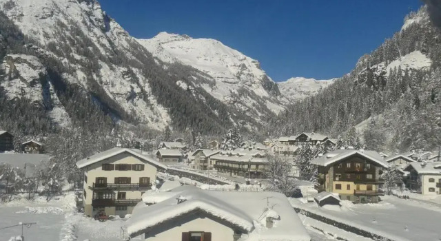 Апартаменты Monterosa Elite Lyshaus Luxury Mountain View