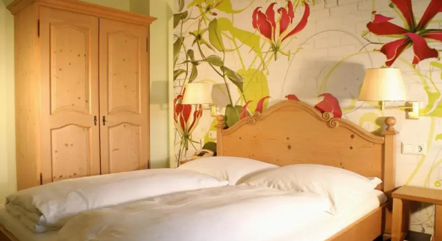 Двухместный номер Standard Hotel Sonneck