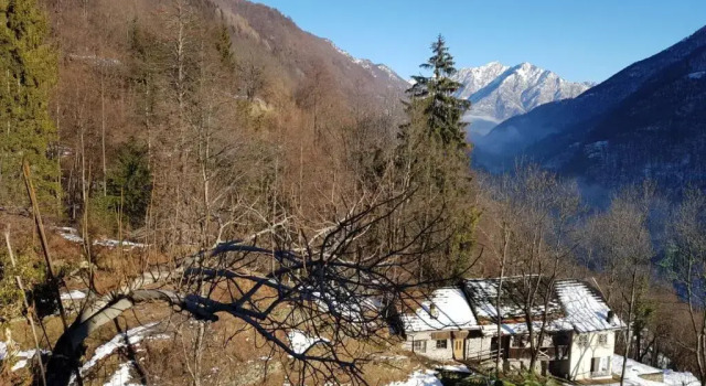 Коттедж Coccinella House