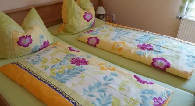 Апартаменты Ferienwohnung Riedl