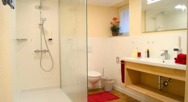 Апартаменты Appartementhotel Breitmattstub