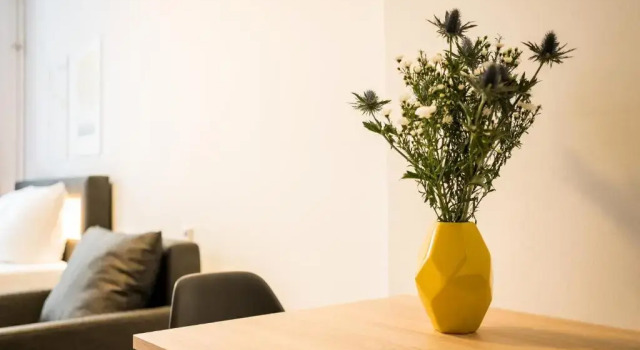 Апартаменты Standard Servus Apartments by Homaris