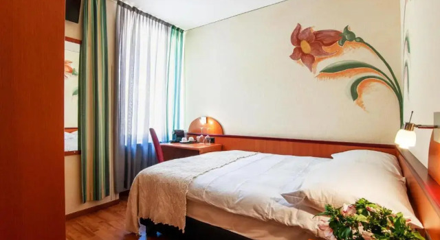 Одноместный номер Economy Tailormade Hotel AL GIARDINETTO Biasca