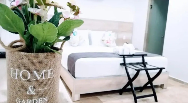 Люкс Comfort с балконом 5a Coral Suites