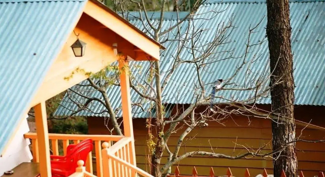 Люкс Himgiri Nature Retreat