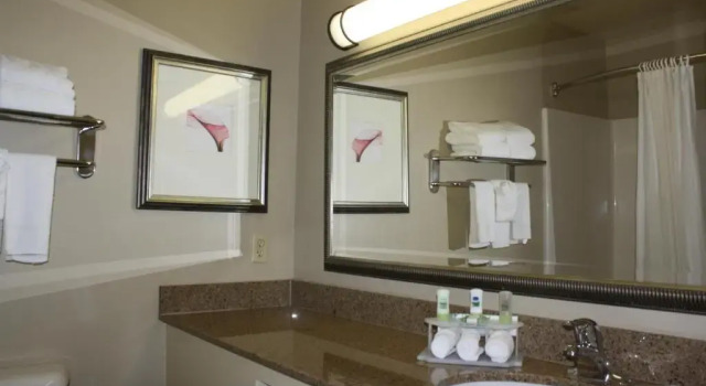 Номер Standard Country Inn & Suites by Radisson, Asheville - Outlet Mall
