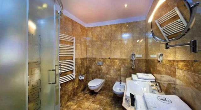 Двухместный полулюкс Hotel Woiński Spa