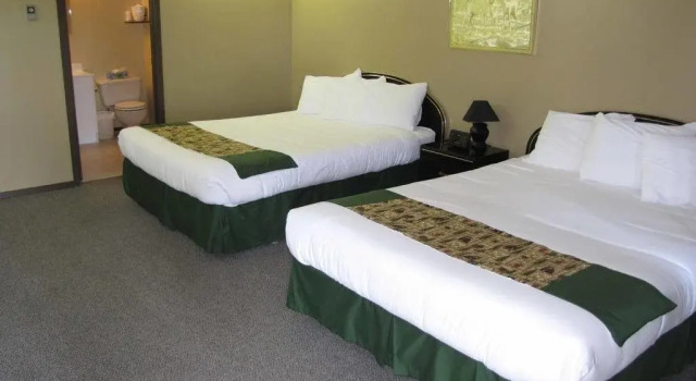 Bear Country Inn and Suites
