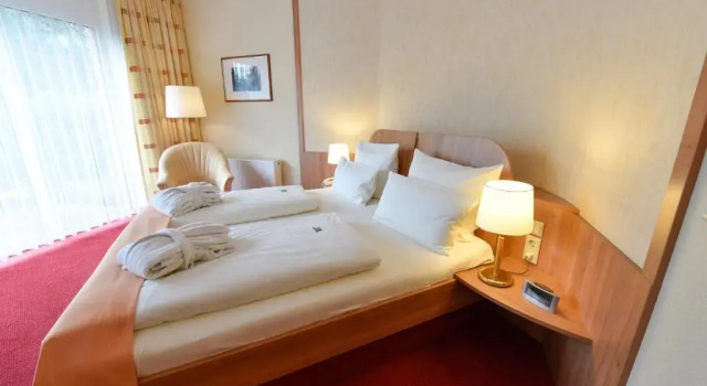 Двухместный номер Comfort Hotel am Vitalpark