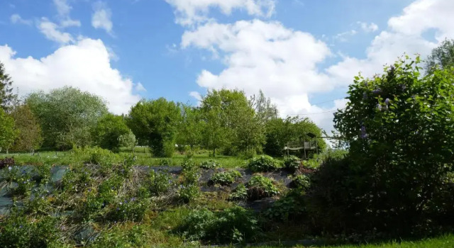 Номер Standard B&B La ferme de Berwausault