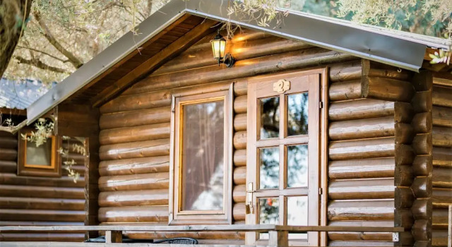 Номер Standard Holiday Park Tree
