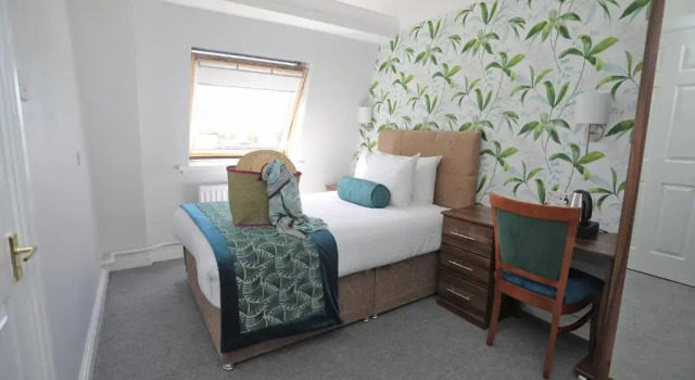 Одноместный номер Standard The Beaches Hotel and Spa