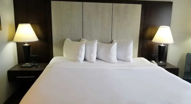 Двухместный номер Premium Wyndham Garden Hotel - Jacksonville