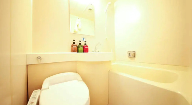 Одноместный номер Standard Shonandai Daiichi Hotel Fujisawa Yokohama