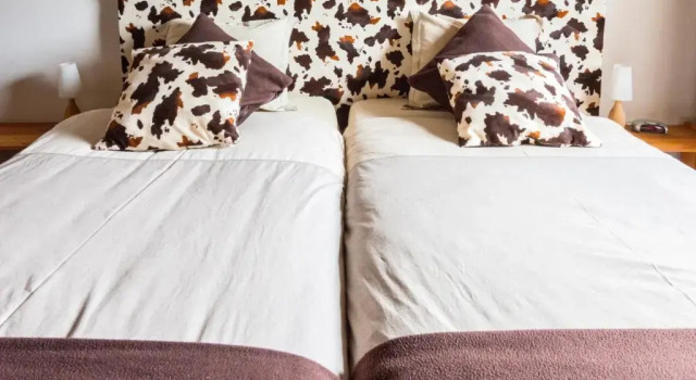 Двухместный номер Standard B&B Lanterfanters