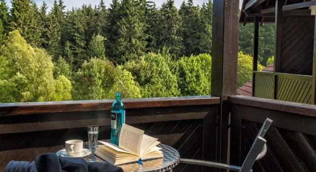 Двухместный номер Economy relexa hotel Harz-Wald Braunlage