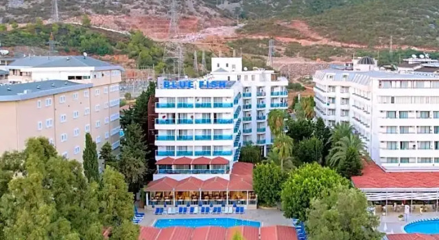 Номер Standard Blue Fish Hotel All Inclusive