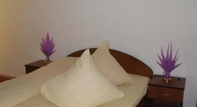 Pensiunea Iuliana, Rezerwuj Hotel Arefu 