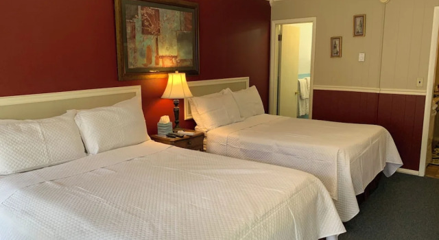 Люкс Deluxe Starlite Motel & Suites
