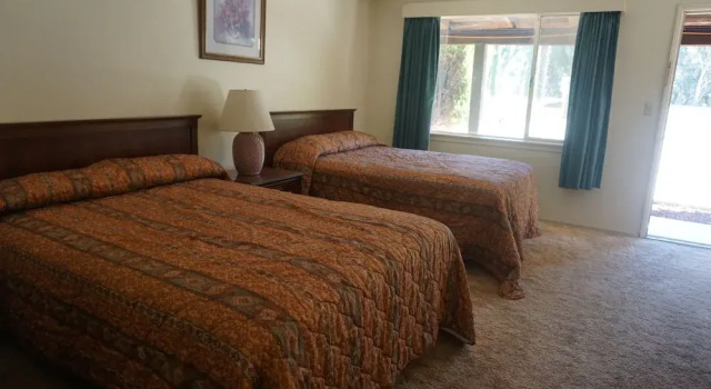 Четырёхместный номер Standard Blue Gum Motel