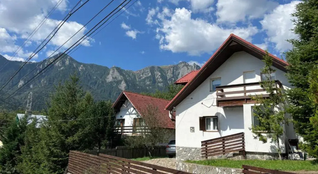 Коттедж с 3 комнатами Rustic House Busteni