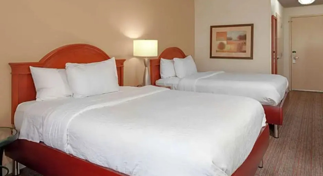 Четырёхместный номер Premium Hilton Garden Inn Charlotte North