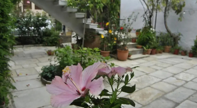 Студия Guesthouse Machi