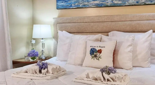 Двухместный номер Standard Villa Alejandro