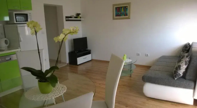 Апартаменты c 1 комнатой Apartments Kristina