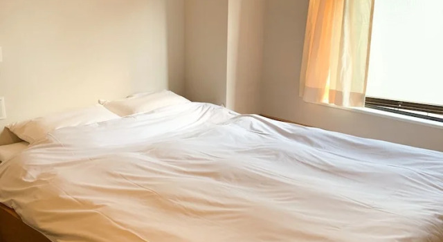 Двухместный номер Superior And Hostel Kuramae West